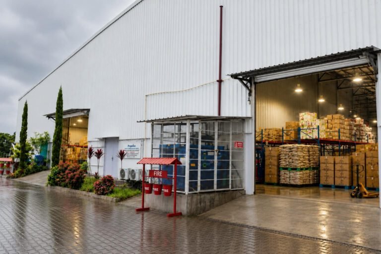 End-to-End Export & Logistics Support